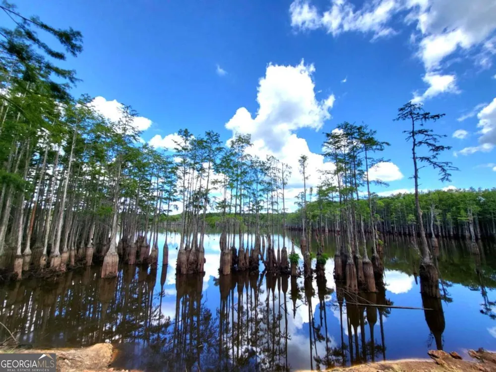 188 Brenda RD Portal, GA 30450