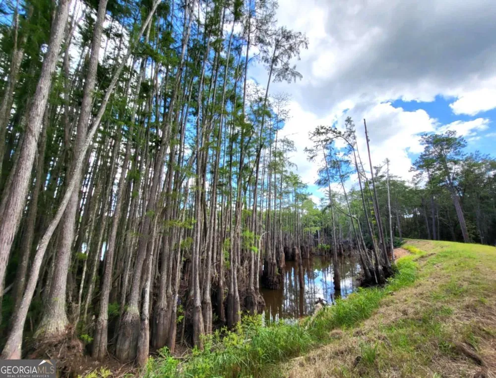 188 Brenda RD Portal, GA 30450
