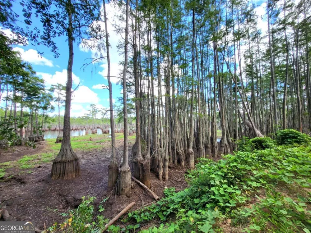 188 Brenda RD Portal, GA 30450