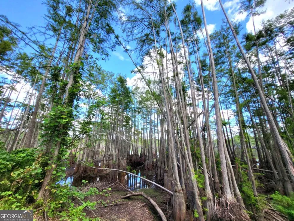 188 Brenda RD Portal, GA 30450