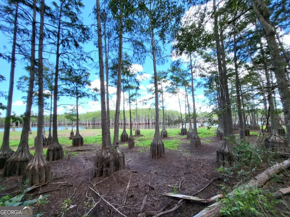 188 Brenda RD Portal, GA 30450