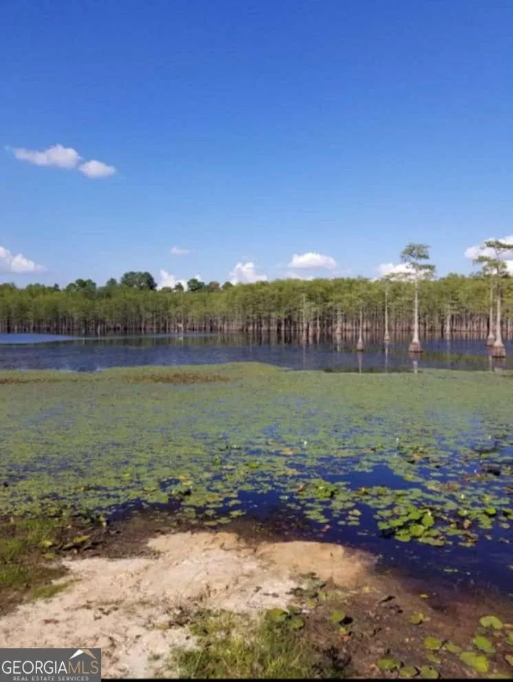 188 Brenda RD Portal, GA 30450