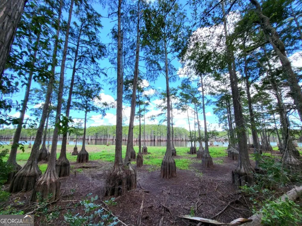 188 Brenda RD Portal, GA 30450