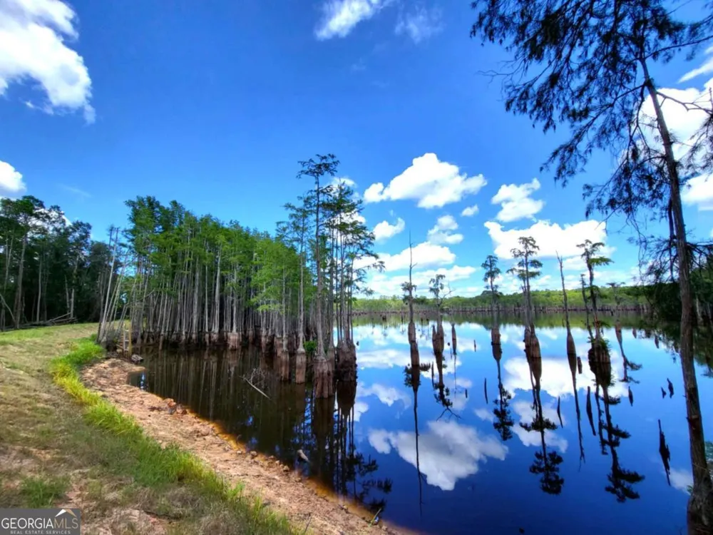188 Brenda RD Portal, GA 30450