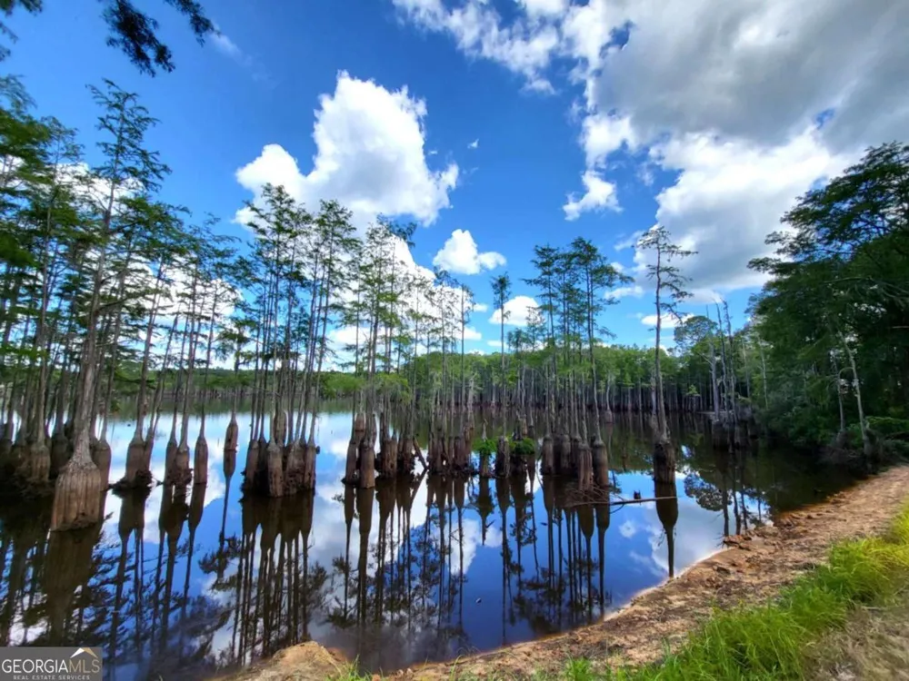 188 Brenda RD Portal, GA 30450
