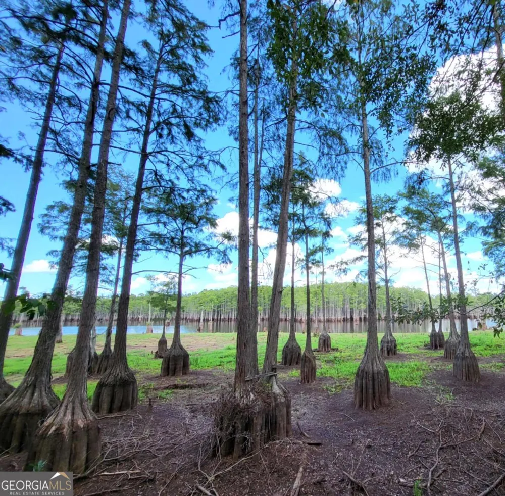 188 Brenda RD Portal, GA 30450