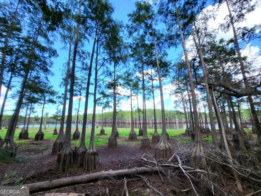 188 Brenda RD Portal, GA 30450