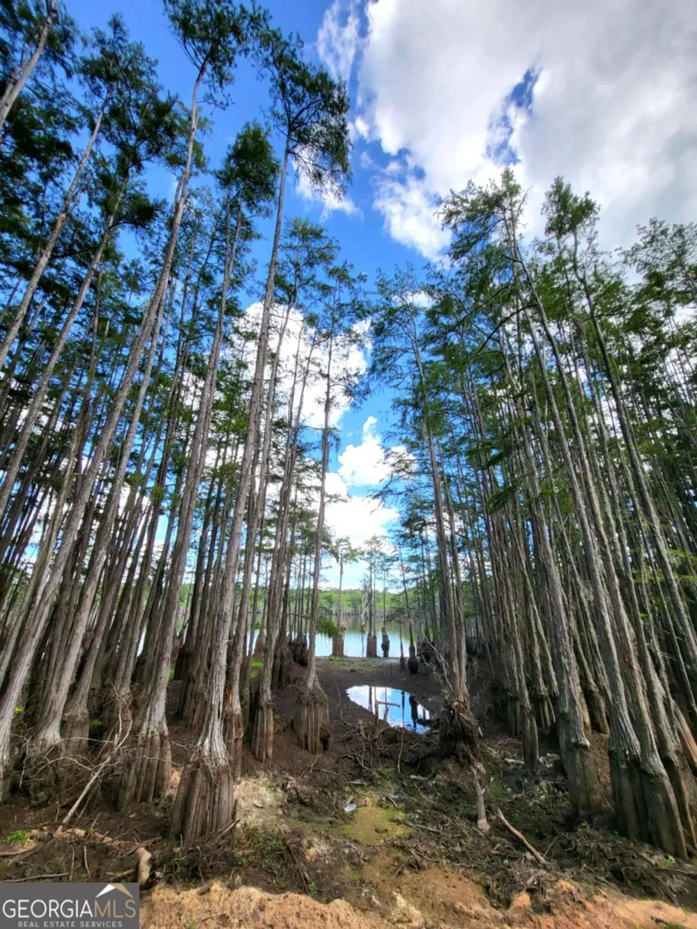 188 Brenda RD Portal, GA 30450