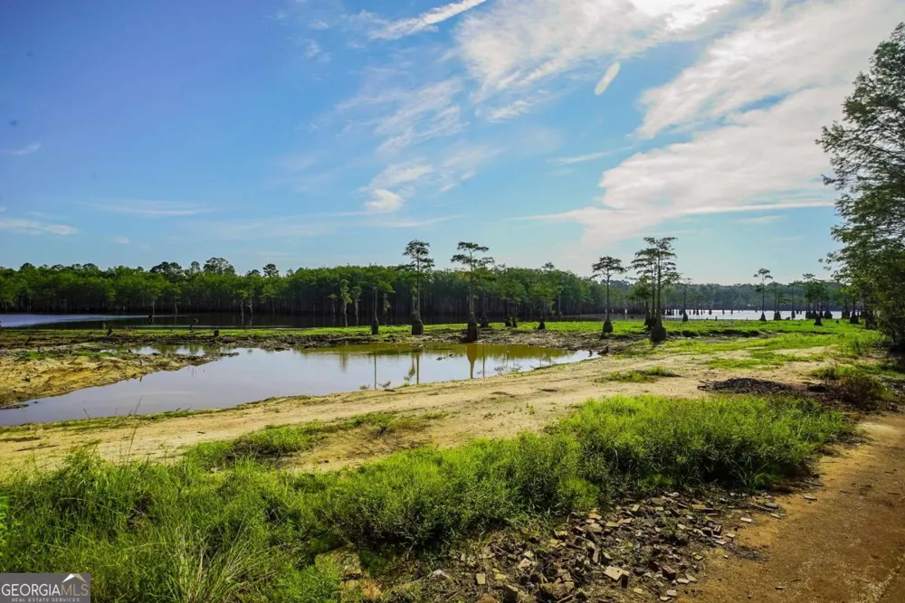 188 Brenda RD Portal, GA 30450