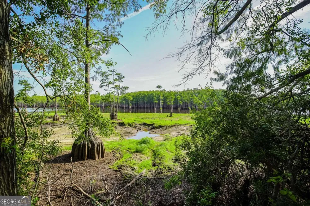 188 Brenda RD Portal, GA 30450