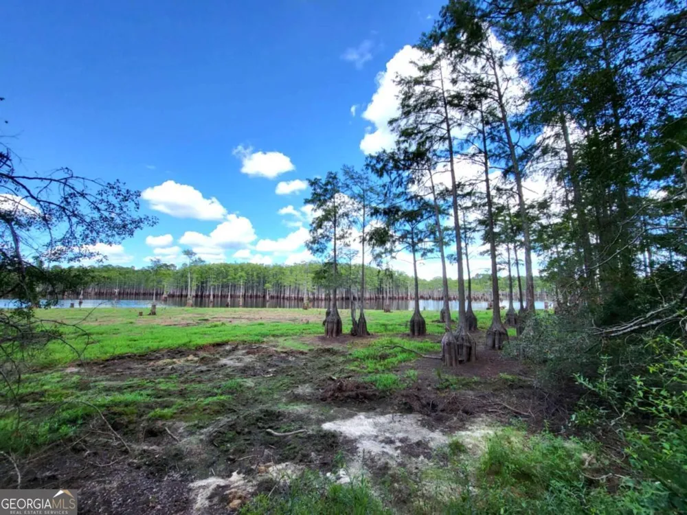 188 Brenda RD Portal, GA 30450