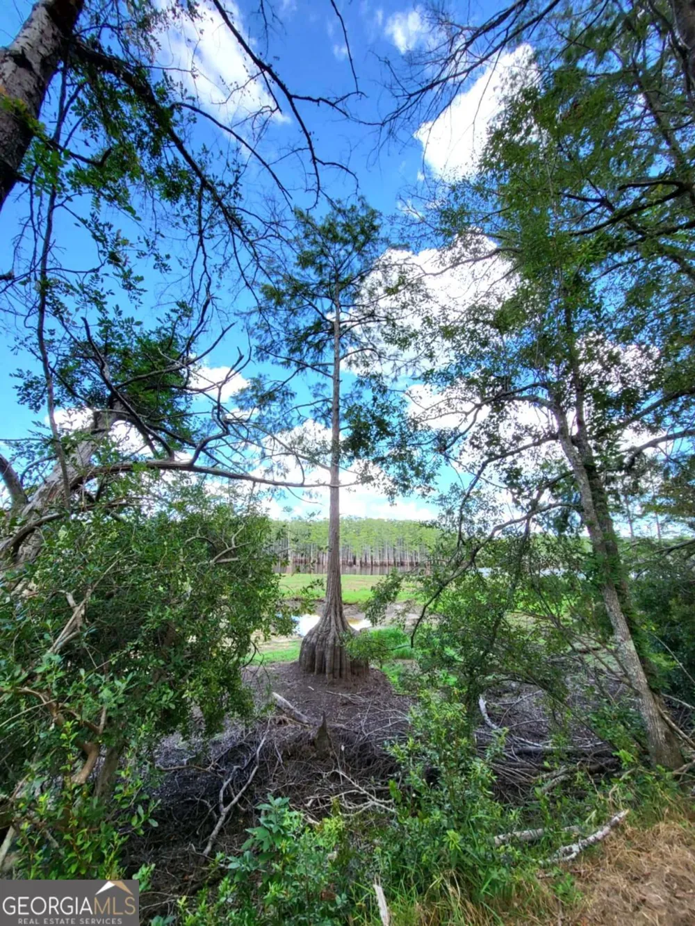 188 Brenda RD Portal, GA 30450