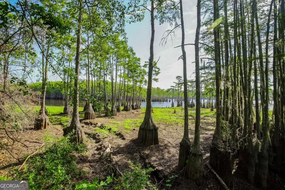 188 Brenda RD Portal, GA 30450