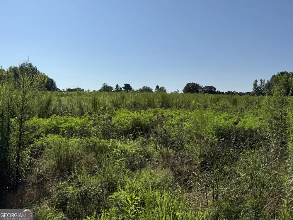 0 N Ga Highway 113 Temple, GA 30179