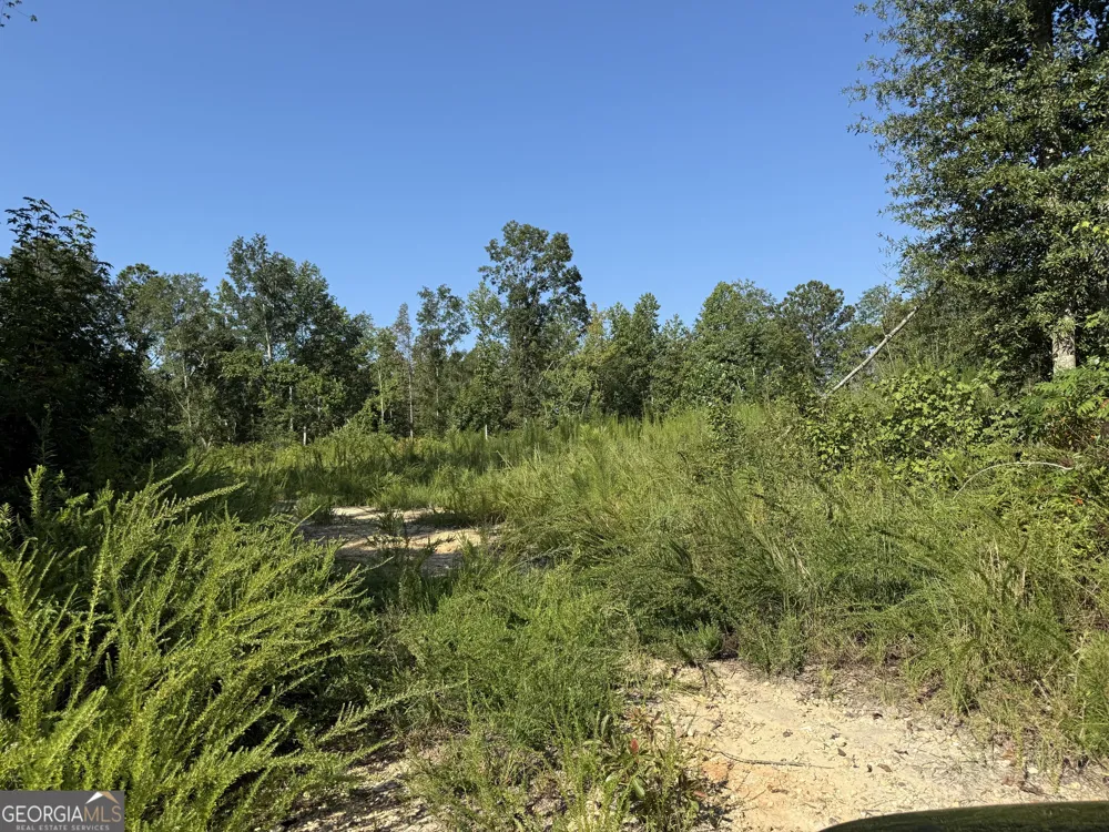 0 N Ga Highway 113 Temple, GA 30179