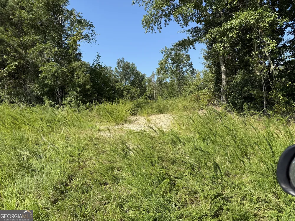 0 N Ga Highway 113 Temple, GA 30179