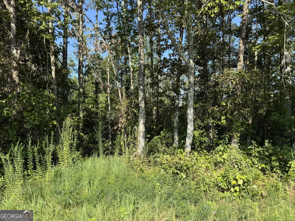 0 N Ga Highway 113 Temple, GA 30179