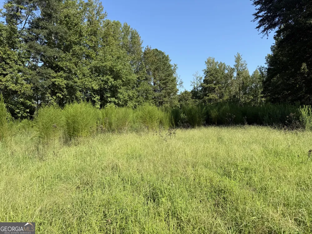 0 N Ga Highway 113 Temple, GA 30179