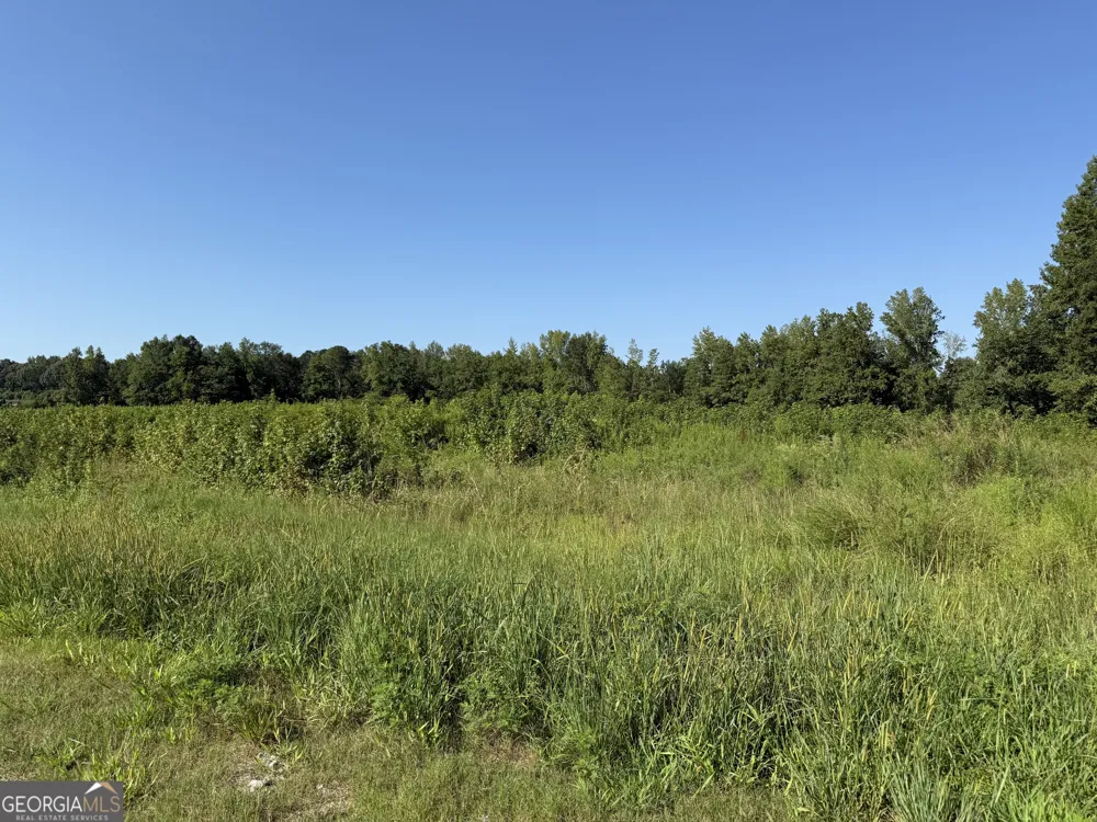 0 N Ga Highway 113 Temple, GA 30179