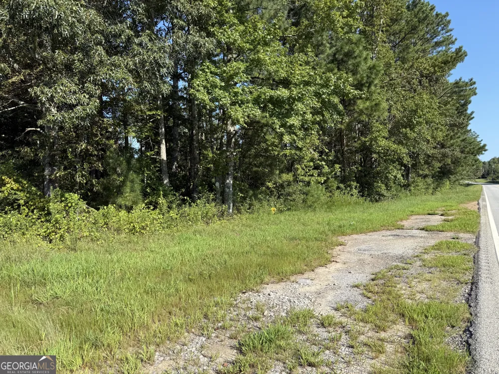 0 N Ga Highway 113 Temple, GA 30179