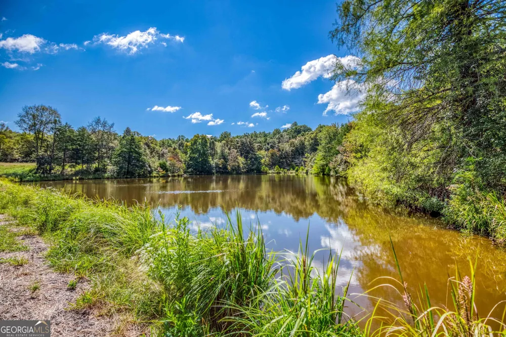 2688 Calhoun Falls HWY Elberton, GA 30635