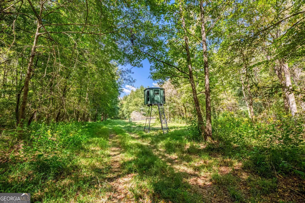 2688 Calhoun Falls HWY Elberton, GA 30635