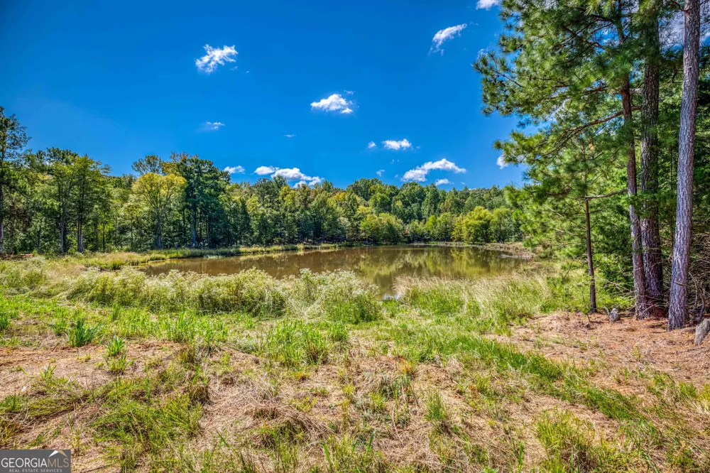 2688 Calhoun Falls HWY Elberton, GA 30635