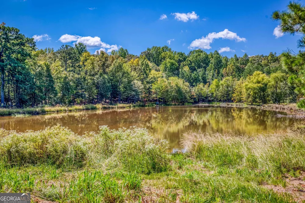 2688 Calhoun Falls HWY Elberton, GA 30635