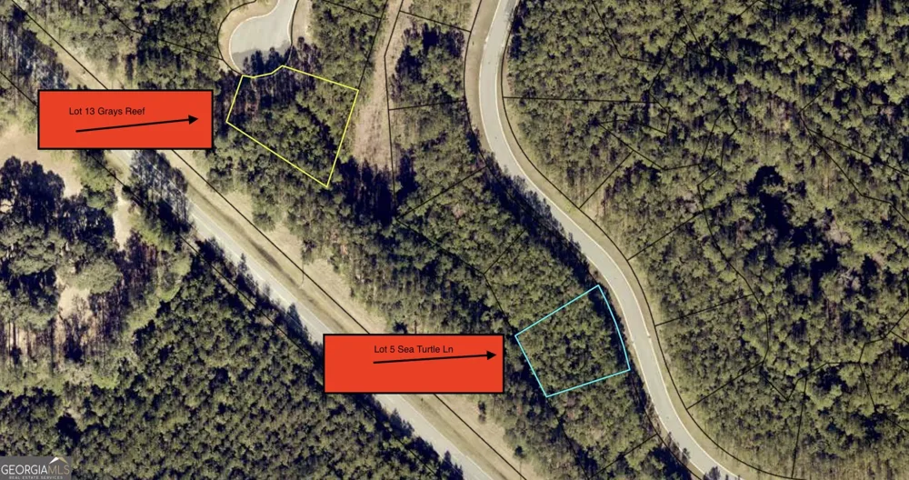 LOT 5 Sea Turtle LN Waverly, GA 31565