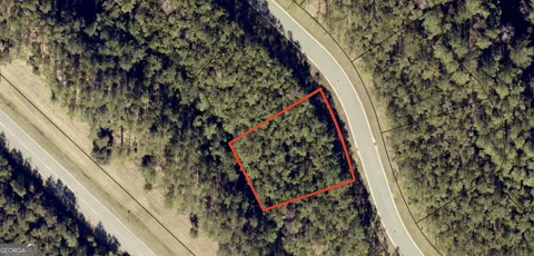LOT 5 Sea Turtle LN