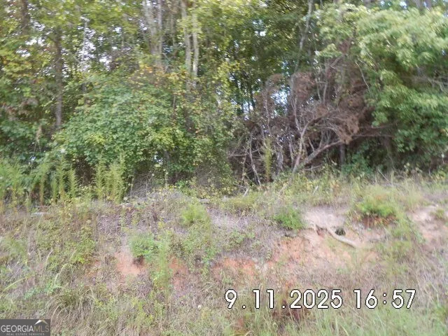 8.5 +/- Smith Loop Demorest, GA 30535