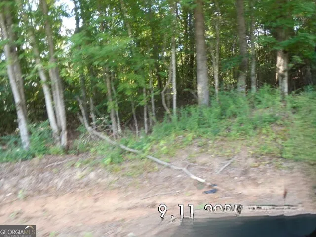 8.5 +/- Smith Loop Demorest, GA 30535