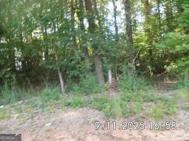 8.5 +/- Smith Loop Demorest, GA 30535