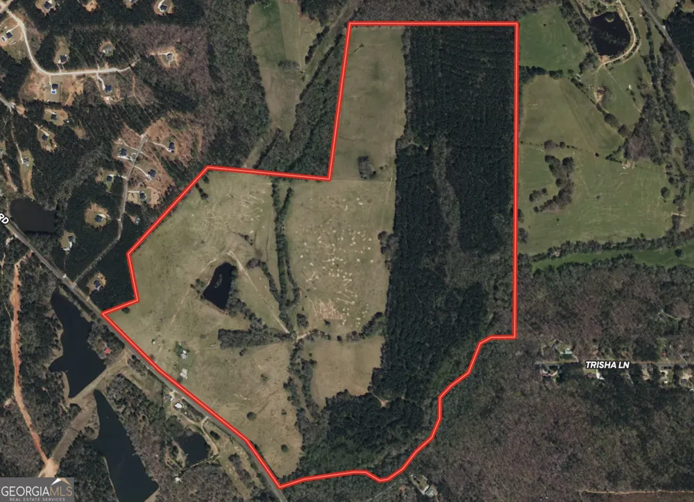 0 (259.67+/-AC) Bohannon RD Grantville, GA 30220