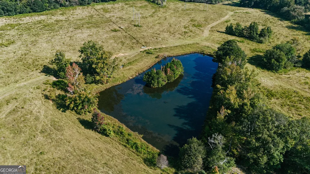 0 (259.67+/-AC) Bohannon RD Grantville, GA 30220