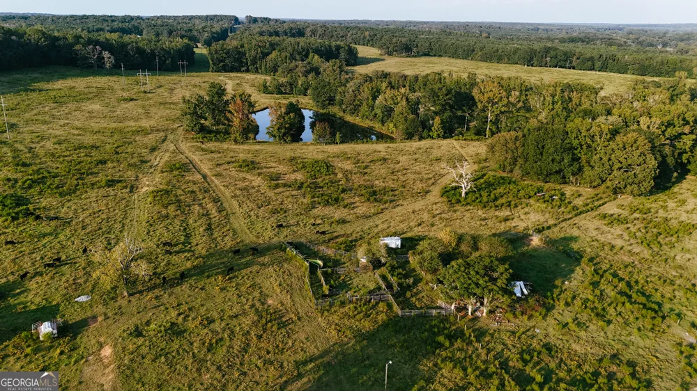 0 (259.67+/-AC) Bohannon RD Grantville, GA 30220