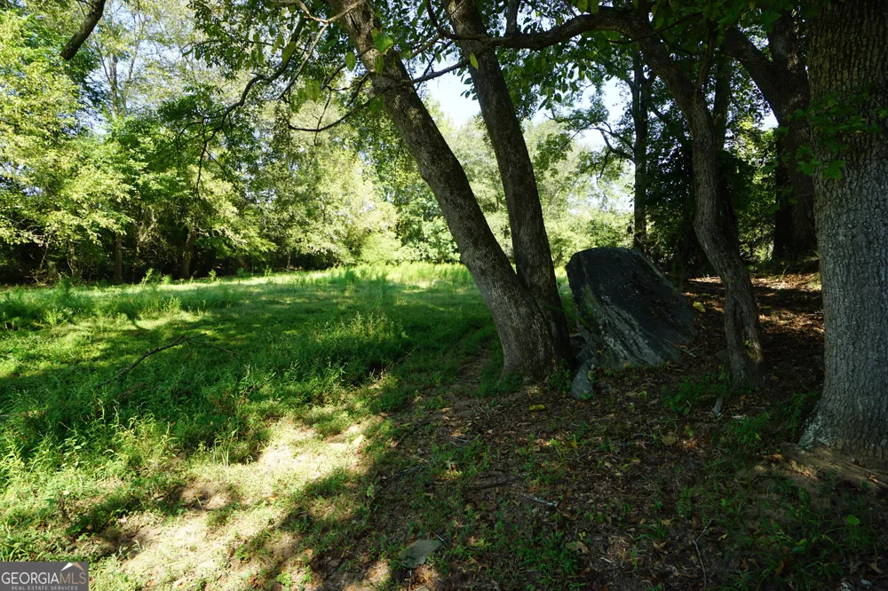 0 (259.67+/-AC) Bohannon RD Grantville, GA 30220
