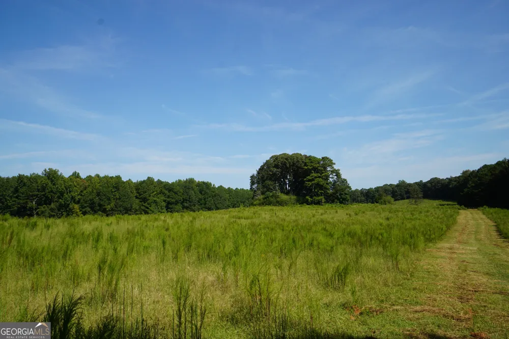0 (259.67+/-AC) Bohannon RD Grantville, GA 30220