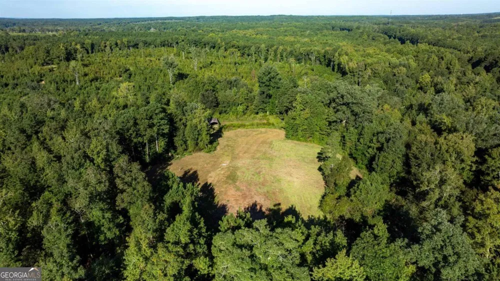 1901 Grey Land RD Greensboro, GA 30642