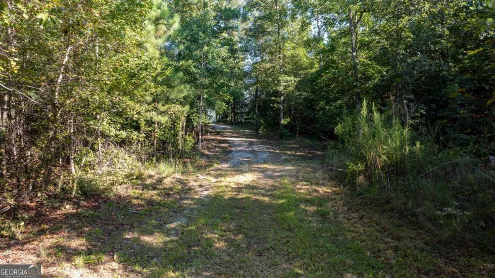 1901 Grey Land RD Greensboro, GA 30642