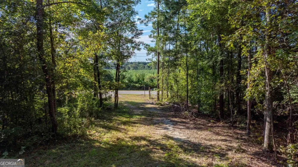 1901 Grey Land RD Greensboro, GA 30642