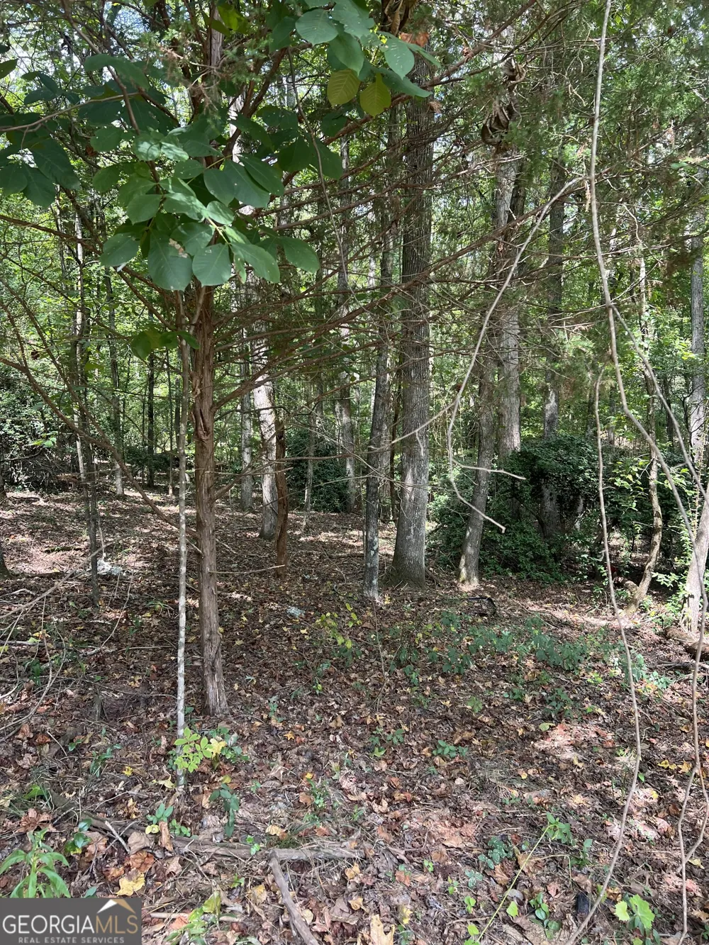 0 Barouche DR Thomaston, GA 30286