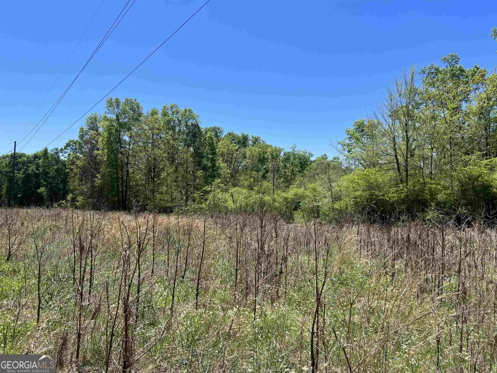 393 & 381 Old Conyers RD Stockbridge, GA 30281