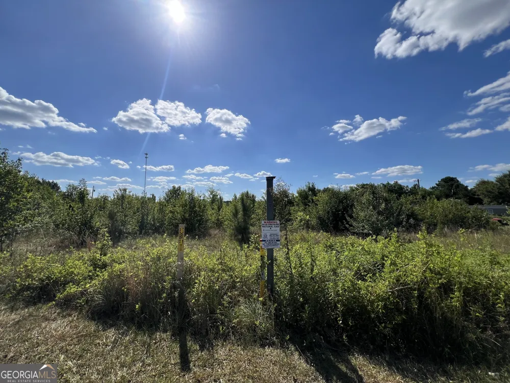 0 Highway 117 Rentz, GA 31075