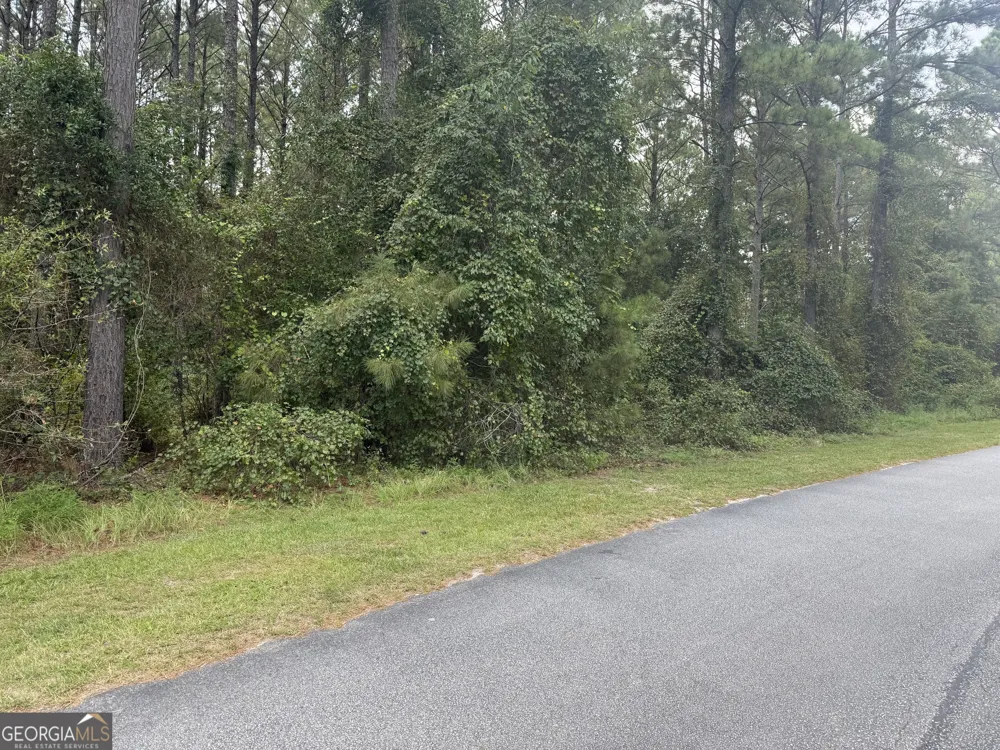 LOT 24 Plantation CIR Statesboro, GA 30458