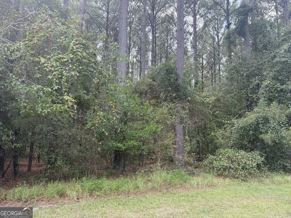 LOT 24 Plantation CIR Statesboro, GA 30458
