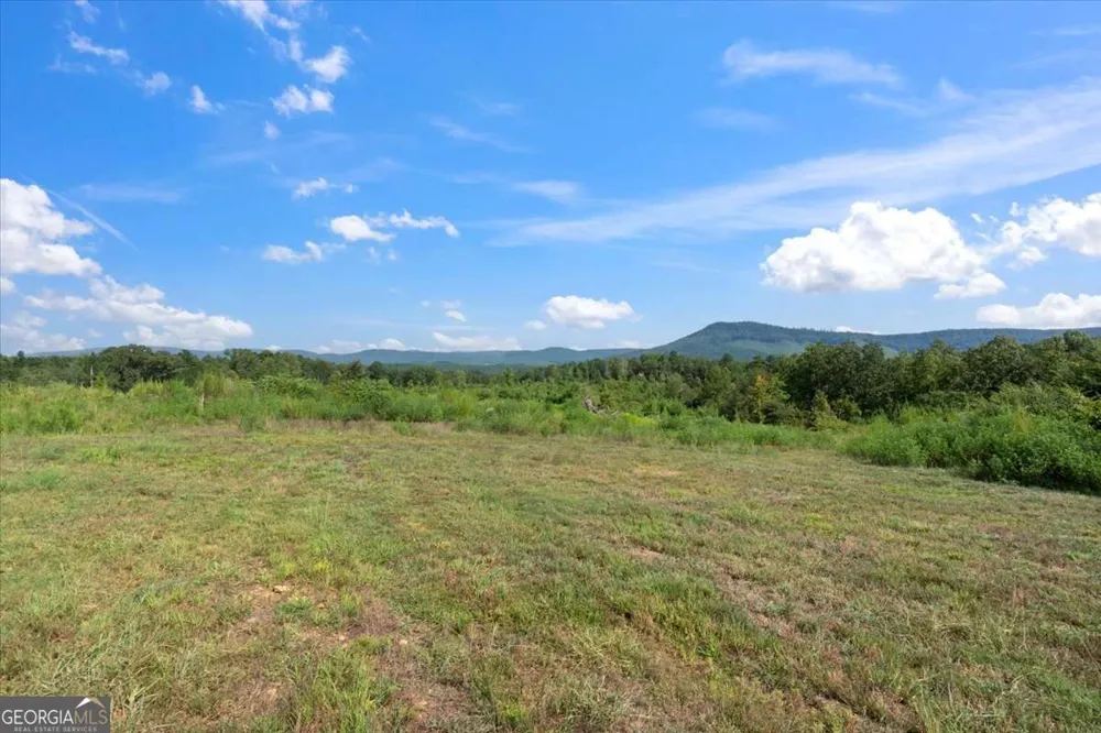 664 Wiggins RD Lyerly, GA 30730