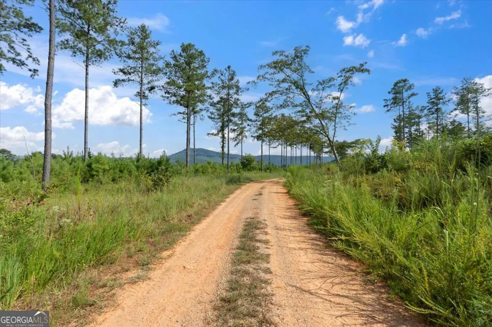 664 Wiggins RD Lyerly, GA 30730