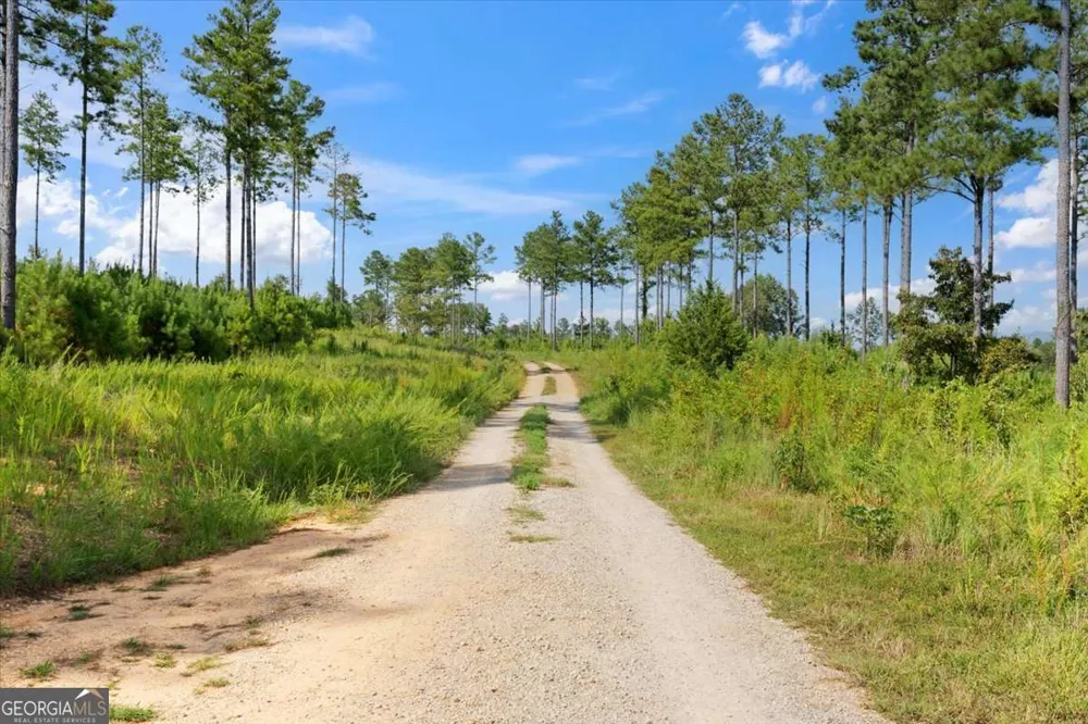 664 Wiggins RD Lyerly, GA 30730