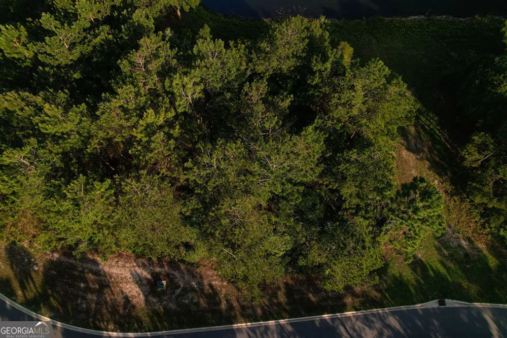 LOT 547 Beacon Pointe PKWY Waverly, GA 31565